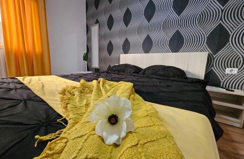 Costinesti Casa | Scoica