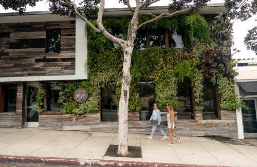 Laguna Beach Hotel | SCP Seven4One Hotel