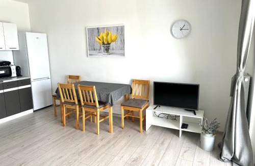 Radzymin Apartamento | SDH 1 Radzymin comfortable apartment near Warsaw