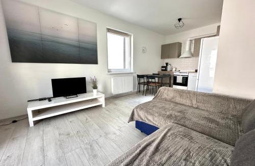 Wolomin Apartamento | SDH 1 Wolomin comfortable apartment near Warsaw