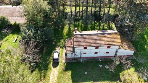 Bettolelle Apartamento | SE143 - Senigallia, casale immerso nel verde delle colline