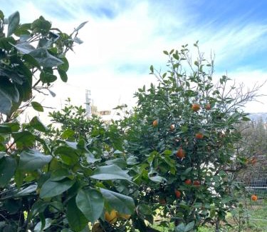 Korithion Apartamento | SEA CABANA APARTMENT, KORINTHOS