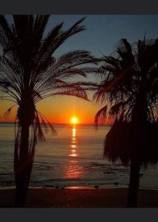 Indian Shores Apartamento | Sea Club Condo #37