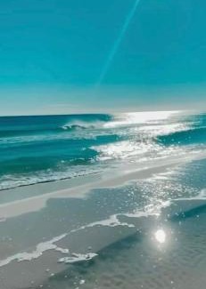 Indian Shores Apartamento | Sea Club Condo #37