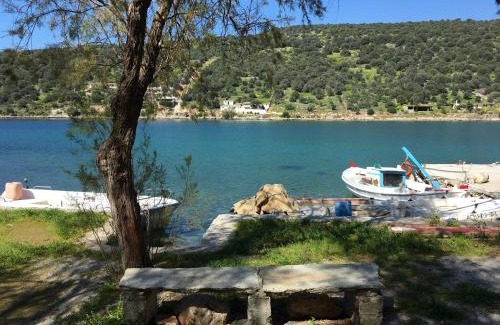 Mpoufalo Apartamento | Sea Front Studio - Porto Buffalo - Evia