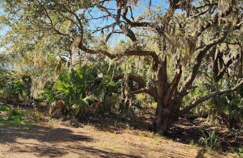 Saint Helena Island Casa | Sea Island Seclusion Marsh View with Beach Pass