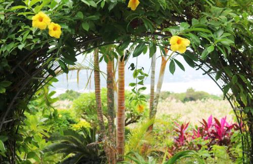 Motobu Villa | Sea-k-SEVEN Hotels and Resorts-
