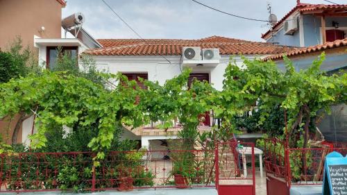 Petra Casa | Sea La Vie Beach House