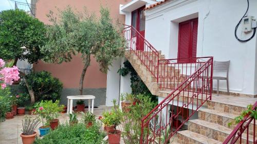 Petra Casa | Sea La Vie Beach House