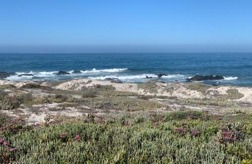Yzerfontein Apartamento | Sea-renity