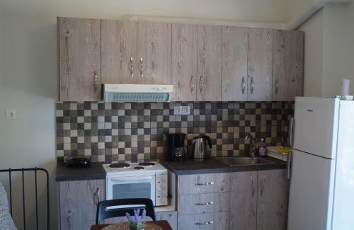 Palaia Fokaia Apartamento | Sea Side Apartment