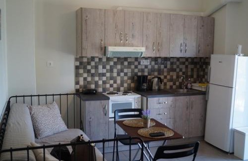 Palaia Fokaia Apartamento | Sea Side Apartment