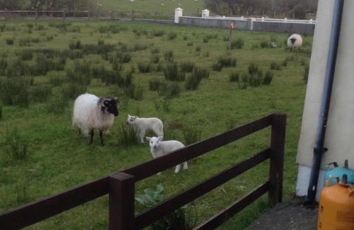 Westport Apartamento | Sea View Chalet Kilsallagh Westport Co Mayo