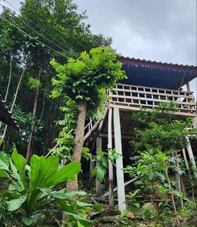Koh Rong Cabina | Sea Views bungalow kohrong