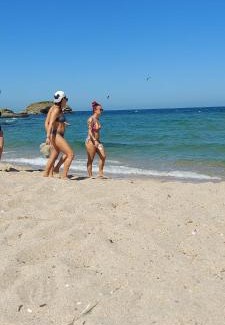 Lozenets Apartamento | SEA WOLF Apartman Луксозен апартамент с панорамна гледка към морето климатик с нова напълно оборудвана кухня отделна баня с тоалетна гледка към басейна на 30 м от плажа Паркинг към хотела Навсякъде близо