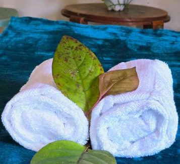 Midigama East Hotel | Sea You Surfers Nest