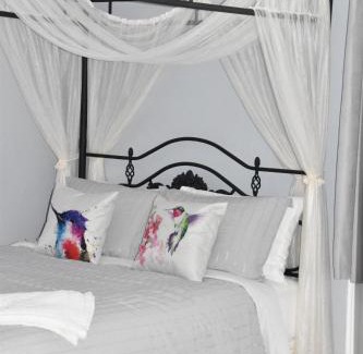 Pictou Cama Y Desayuno | Seabank House Bed and Breakfast Hummingbird