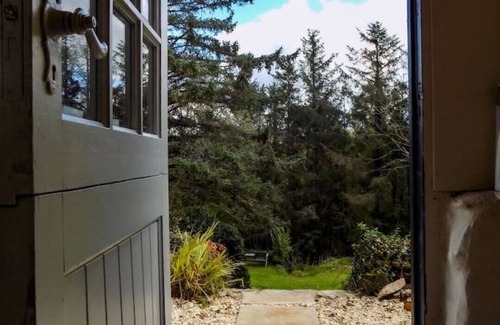 Perranporth Cabaña | Seabird Cottage in stunning woodland/coastal