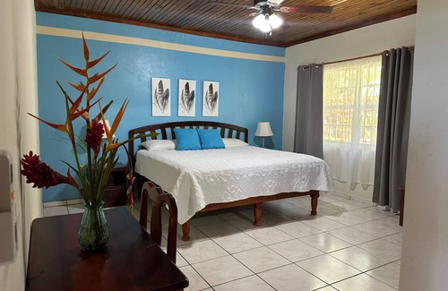Antoneys Cay Hotel | Seagrape Plantation Resort