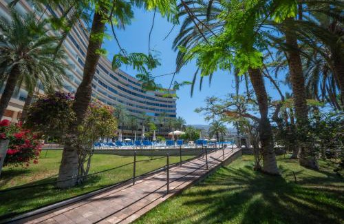 Marazul Apartamento | Seagulls melody C-208