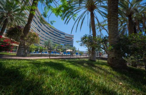 Marazul Apartamento | Seagulls melody C-208