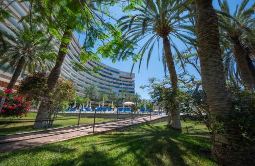 Marazul Apartamento | Seagulls melody C-208