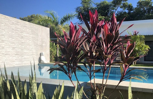 Tamarindo Hotel | Seahorse Resort and Dive Center