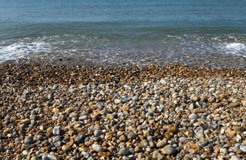 Selsey Complejo | Seal Bay, West Sands