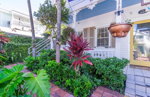 Downtown Hotel | Seascape Tropical Inn