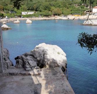 Molunat Apartamento | Seaside apartments with a swimming pool Molunat, Dubrovnik - 3544