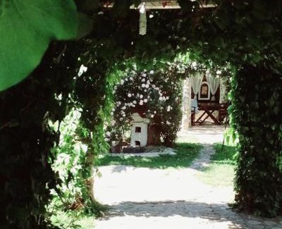 Pangaio Casa | Seaside Green Villa