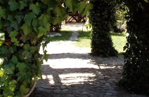 Pangaio Casa | Seaside Green Villa