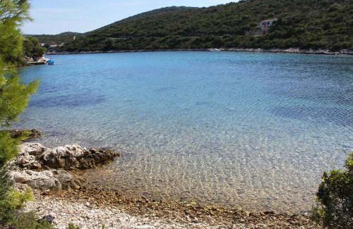 Cove Rogacic Casa | Seaside holiday house Cove Parja, Vis - 8892
