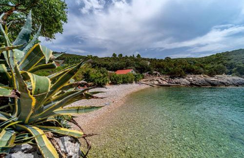 Rasohatica Casa | Seaside house for families with children Cove Rasohatica, Korcula - 4386