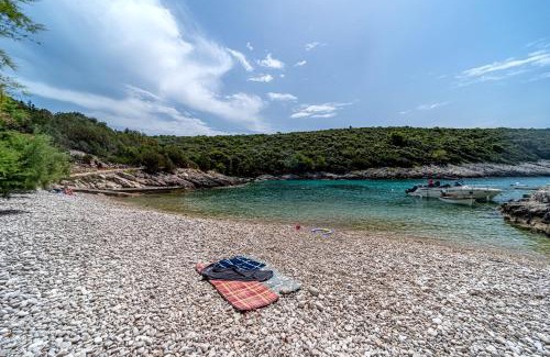 Rasohatica Casa | Seaside house for families with children Cove Rasohatica, Korcula - 4386