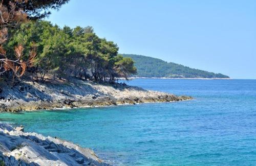 Blato Apartamento | Seaside secluded apartments Cove Vela Borova, Korcula - 15062