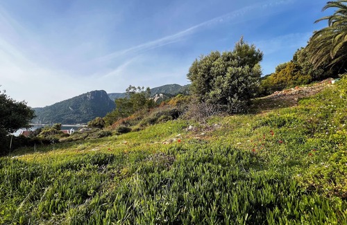 Avlakia Apartamento | Seaside studio with a view