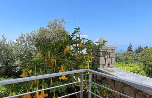 Dhermi Hotel | Season Inn
