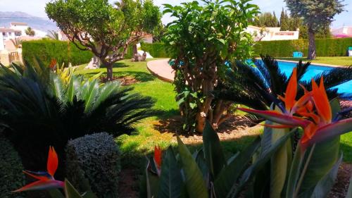 El Albir Apartamento | Seaview Dream Albir