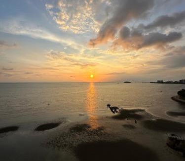 Taman Haji Zainal Apartamento | Seaview Paradise Penthouse @PortDickson (1Bedroom)