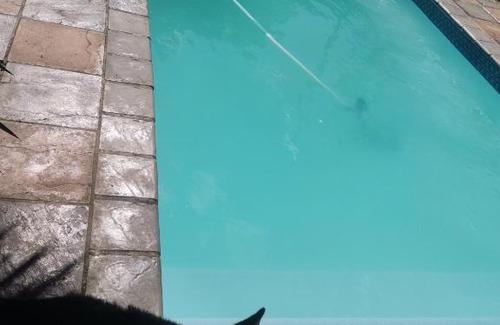 Port Elizabeth Apartamento | Seaview Port Elizabeth Bachelors Pad