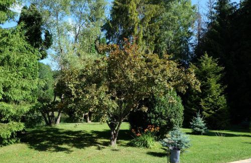 Northern Hungary Cama Y Desayuno | Sebesvi­z Panzió