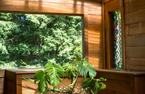 Albion Cabina | Secluded and Private Oasis in the Redwoods
