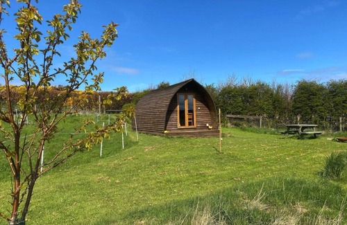 Crovie Cabina | Estándar-Cabaña-Baño con ducha