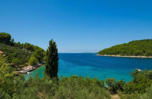 Vela Luka Casa | Secluded fisherman's cottage Cove Picena, Korcula - 14090