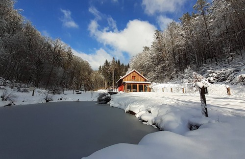 Reipertswiller Casa | Secluded forest cottage with private pond