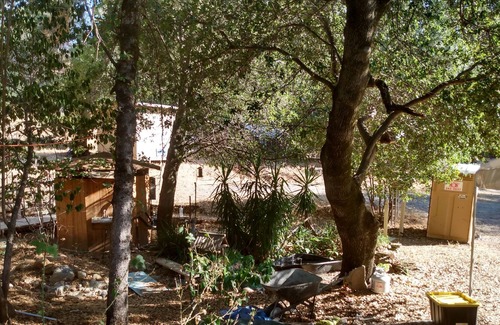 Redding Cabina | Secluded furnished cabin in woods next to seasonal creek in Shasta lake city.