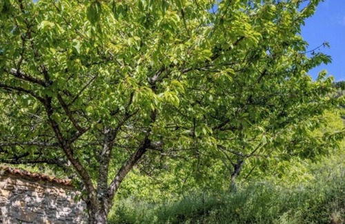 Salvezines Casa | Secluded home in Le Caunil