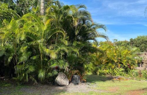 Leilani Estates Casa | Secluded house, Opening special!