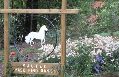 Sautee Nacoochee Cabina | Cabaña de troncos aislada en el arroyo; cerca de Helen, Anna Ruby Falls y Unicoi; SIN CARGOS